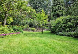 Optimiser l'expérience du jardin à Audouville-la-Hubert