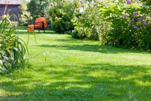 travaux jardin et paysage Audouville-la-Hubert